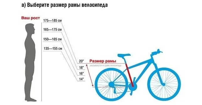 Как подобрать размер велосипеда по росту