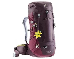 Aubergine