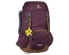 Aubergine