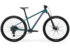 Teal Purple
