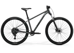 Grey Black