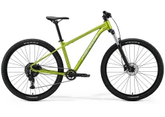 Green Silvergreen