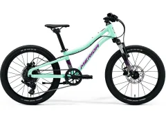 Mint Purple