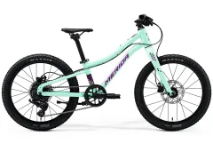 Mint Purple
