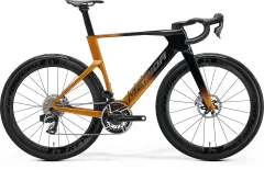 Black/Mineral Gold(Grey)