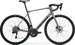Warm Slate Grey(Black)