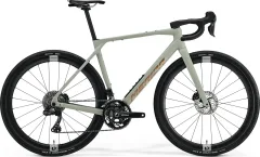 Matt Early Moss Grey(Bronze)
