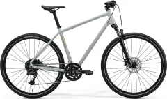 Matt Early Moss Grey(Green)
