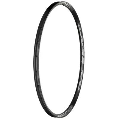 Обiд RACE FACE RIM, ARC OFFSET, 2019, 30, 29", 32H, GRY