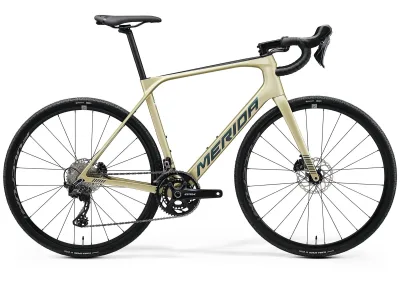 Велосипед 28" Merida SCULTURA ENDURANCE GR 5000 silk champagne - L