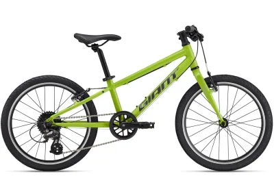 Велосипед 20" Giant ARX (2025) lime punch