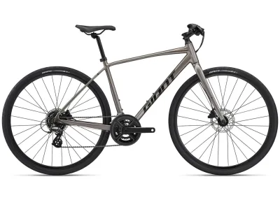 Велосипед 28" Giant Escape 2 Disc (2023) metal M
