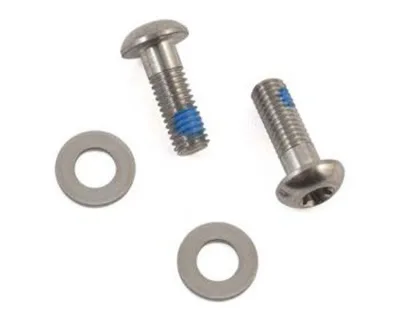 Болти для гальм Bracket Mounting Bolts Stainless T25 22 мм (2 шт) Flat Mount Sram
