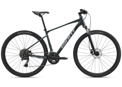 Велосипед 28" GIANT Roam 2 (2026) рама - L Asphalt Green