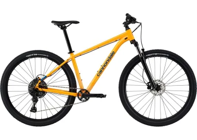 Велосипед 29" Cannondale TRAIL 5 рама - L 2024 MGO