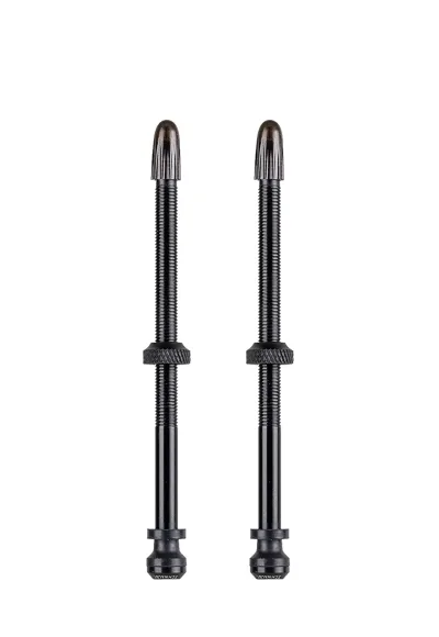 Вентиль Schwalbe для безкамерних ободів, 100mm (2 шт)