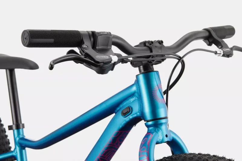 Велосипед 24" Cannondale TRAIL Plus OS 2025 DTE — 4