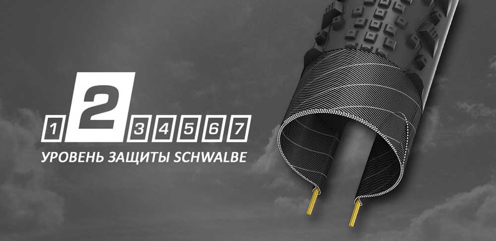 Защита Schwalbe