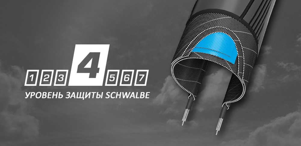 Защита Schwalbe