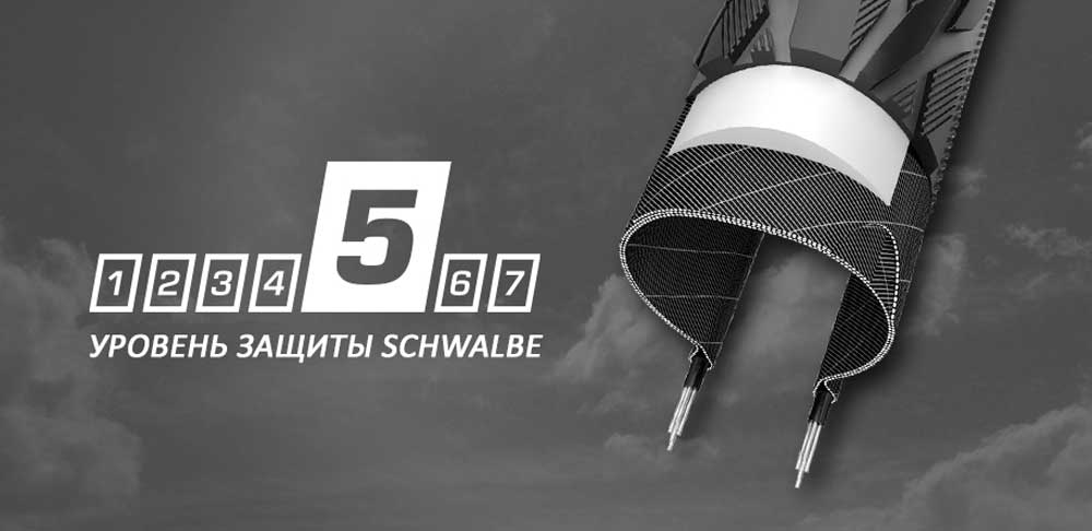 Защита Schwalbe