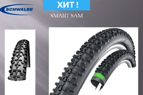 Schwalbe_smart_sam