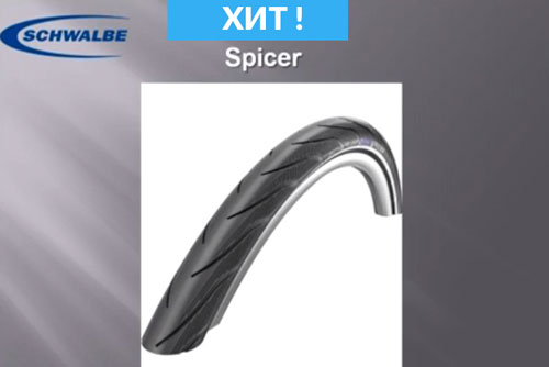 Schwalbe_spicer