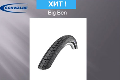 Schwalbe_big_ben