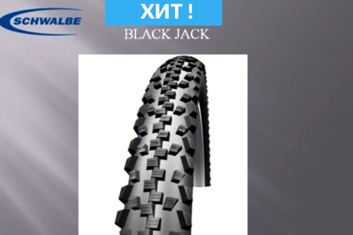 Schwalbe_black_jack