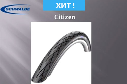 Schwalbe_citizen
