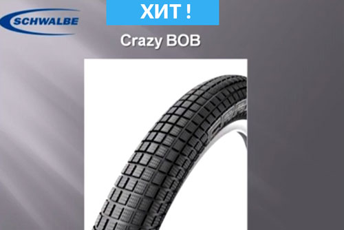 Schwalbe_xrazy_bob