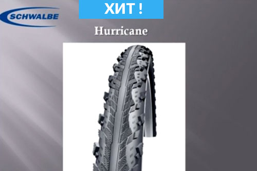 Schwalbe_huracane