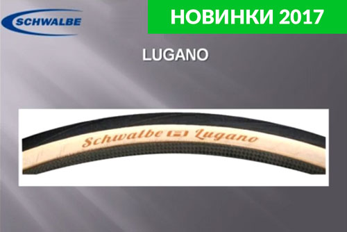 Schwalbe_Lugano