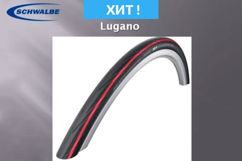 Schwalbe_lugano