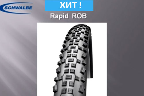 Schwalbe_rapid_rob